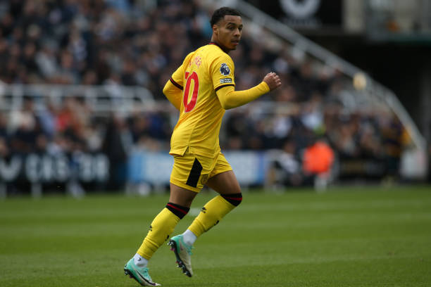 视野开阔 视野开阔